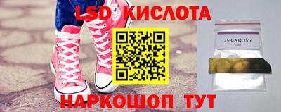 индика Новодвинск