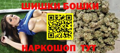 индика Новодвинск