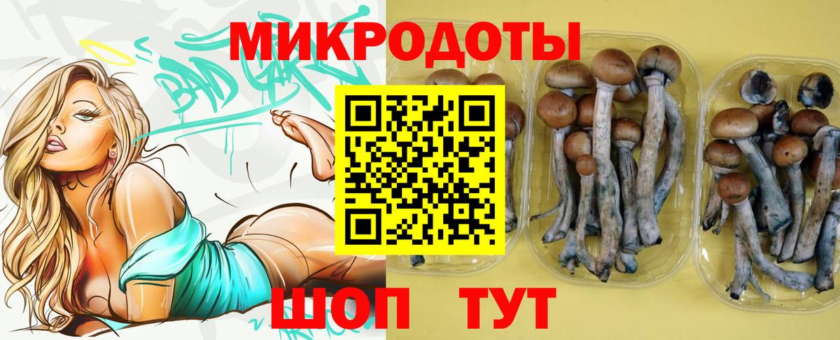 Псилоцибиновые грибы Psilocybe  Вход с VPN  Галлюциногенные грибы Cubensis  Свободный 