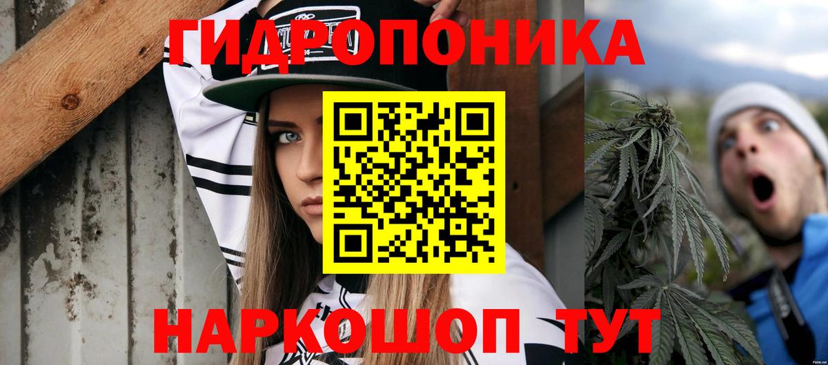 Шишки марихуана план  Вход с VPN  Шишки марихуана ГИДРОПОН  Шишки марихуана THC 21%  Свободный 